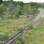 Silêncio de Catan sobre críticas de Zema a Flávio o isola ainda mais do bolsonarismo