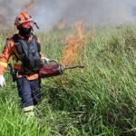 Golpistas usam nome do Desenrola Brasil para aplicar fraudes em Mato Grosso do Sul