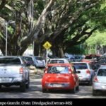 Geada e recorde: MS tem a madrugada mais fria do ano; saiba quais cidades lideram ranking