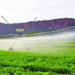 Receita ainda espera mais de 200 mil declarações em Mato Grosso do Sul