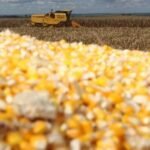 Mercado da soja avança com expectativa de maior demanda mundial
