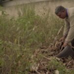 Alta no salário de juízes em abril é fruto da ‘raspagem do tacho’, explica TJMS