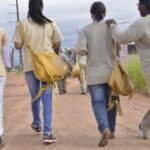 Governo cria grupo para organizar aniversário de 50 anos de Mato Grosso do Sul