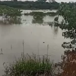 Cheia do Rio Dourados. (Reprodução)